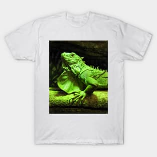 Green Iguana T-Shirt